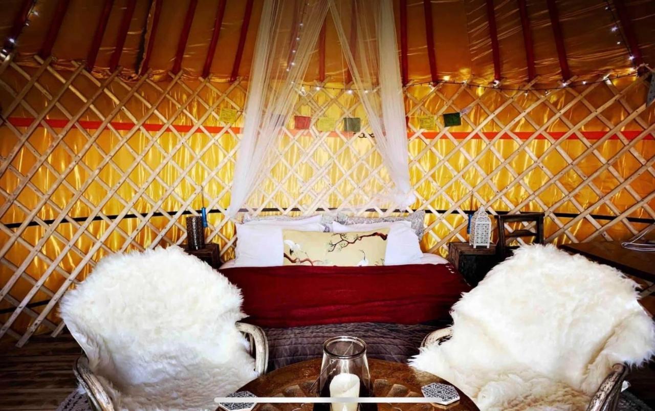 وارمينستر Traditional Yurt @ Longleat المظهر الخارجي الصورة